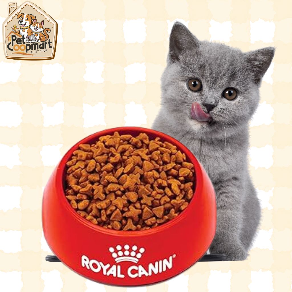 Royal Canin Adult Cat Sensitive Digestion Dry Adult Cat Food