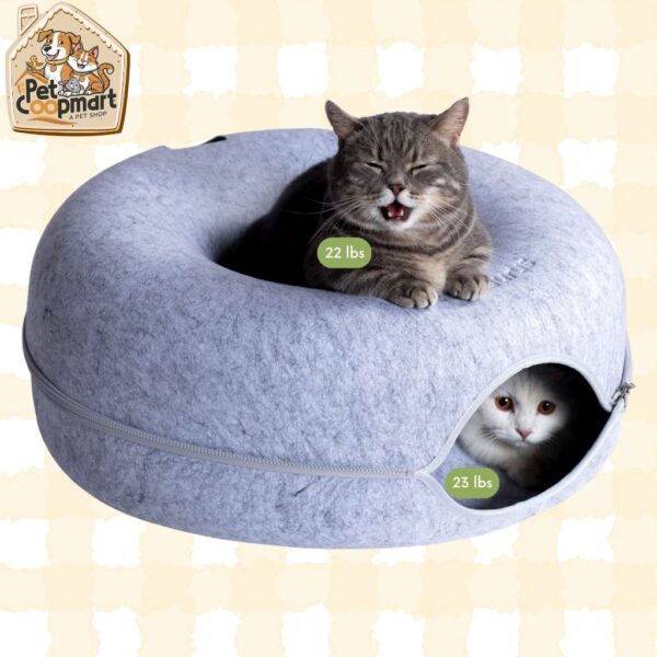 Cattasaurus Peekaboo Cat Cave for Multiple & Large Cats