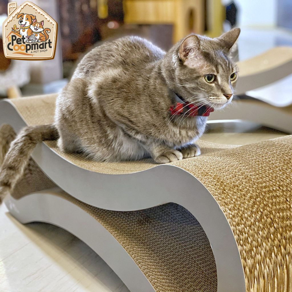 PetFusion Ultimate Cat Scratcher Lounge