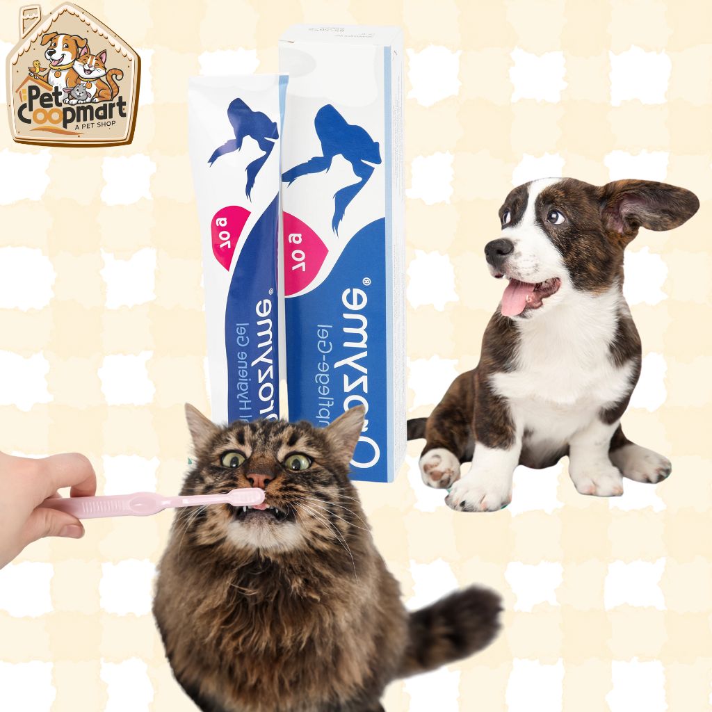 Ecuphar Orozyme Toothpaste Gel for Dogs and Cats