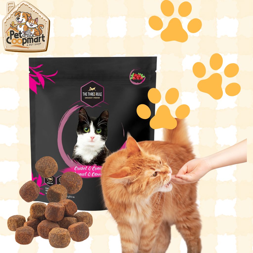 Cricket & Cranberry Cat Treat 90g